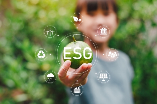Conheça os impactos do ESG marketing para empresas e consumidores