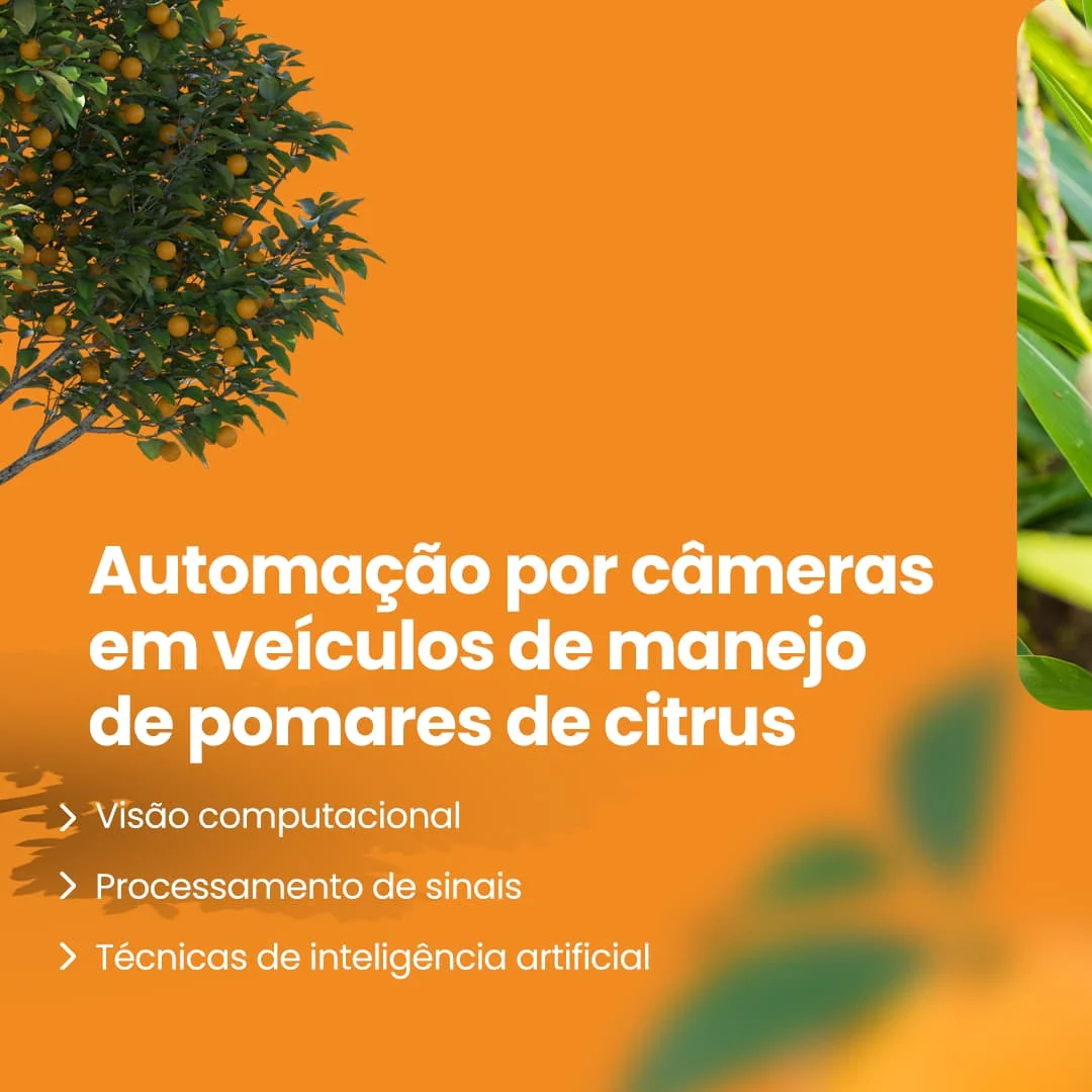 Campanha Turbine seu P&D Eldorado